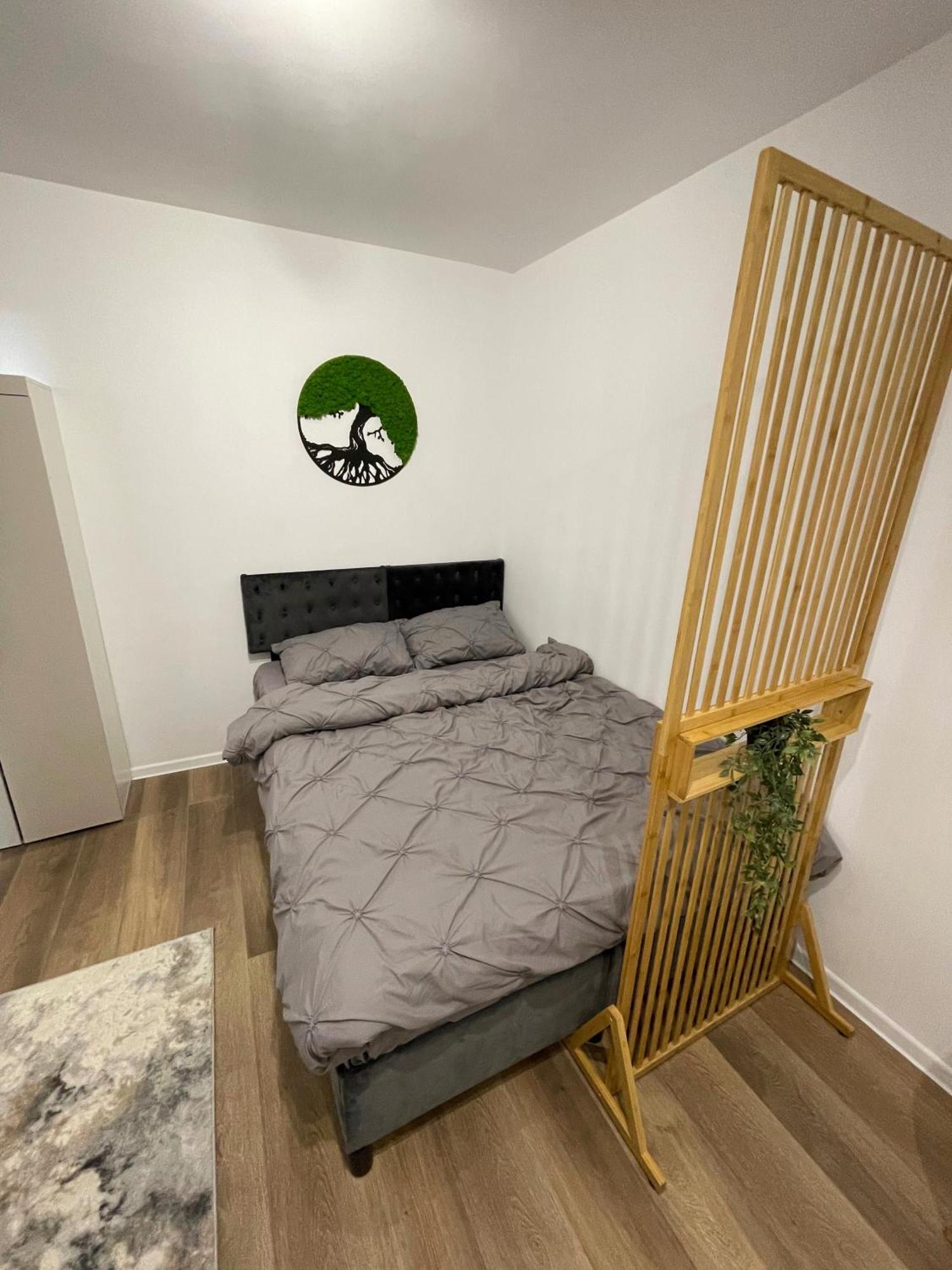 Studio Falticeni Apartment *