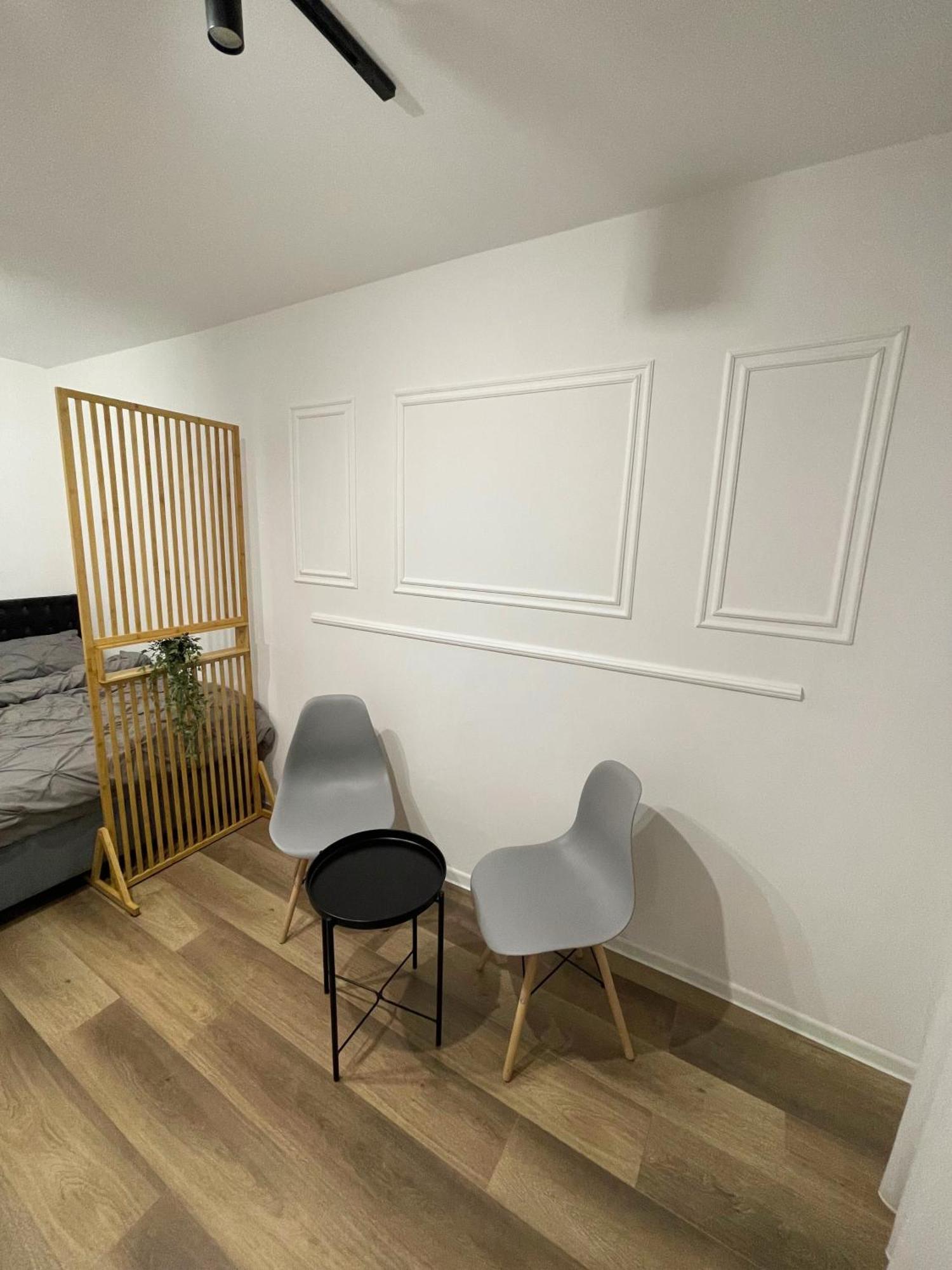 Studio Falticeni Apartment Fălticeni
